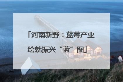 河南新野：蓝莓产业绘就振兴“蓝”图