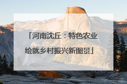 河南沈丘：特色农业绘就乡村振兴新图景