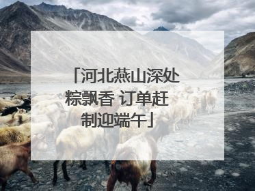 河北燕山深处粽飘香 订单赶制迎端午