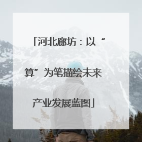 河北廊坊：以“算”为笔描绘未来产业发展蓝图