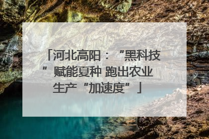 河北高阳：“黑科技”赋能夏种 跑出农业生产“加速度”