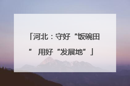 河北：守好“饭碗田” 用好“发展地”