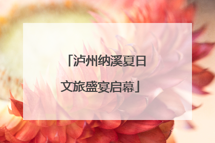 泸州纳溪夏日文旅盛宴启幕