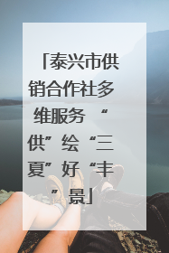 泰兴市供销合作社多维服务 “供”绘“三夏”好“丰”景