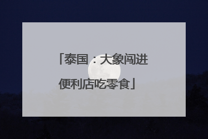 泰国：大象闯进便利店吃零食