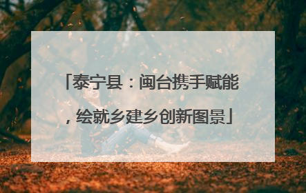 泰宁县：闽台携手赋能，绘就乡建乡创新图景