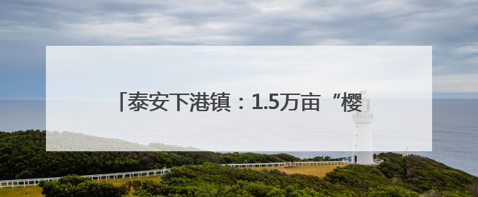 泰安下港镇：1.5万亩“樱桃黄金带”铺就乡村振兴路