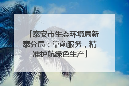 泰安市生态环境局新泰分局：靠前服务，精准护航绿色生产