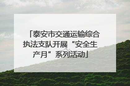 泰安市交通运输综合执法支队开展“安全生产月”系列活动