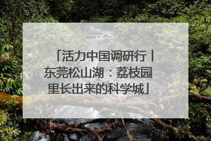活力中国调研行丨东莞松山湖：荔枝园里长出来的科学城