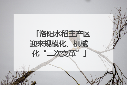 洛阳水稻主产区迎来规模化、机械化“二次变革”