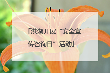 洪湖开展“安全宣传咨询日”活动