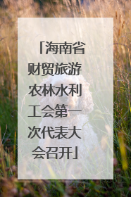 海南省财贸旅游农林水利工会第一次代表大会召开