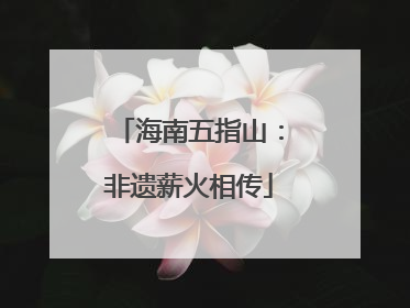 海南五指山：非遗薪火相传