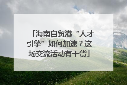 海南自贸港“人才引擎”如何加速？这场交流活动有干货