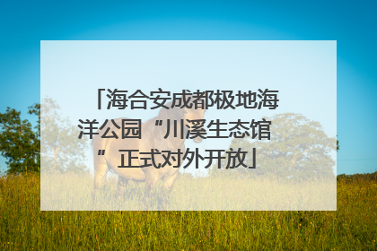海合安成都极地海洋公园“川溪生态馆”正式对外开放