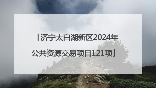 济宁太白湖新区2024年公共资源交易项目121项