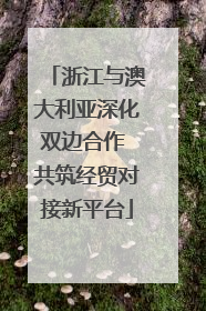 浙江与澳大利亚深化双边合作 共筑经贸对接新平台