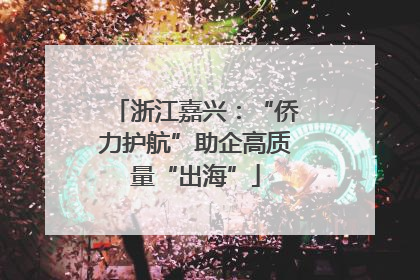 浙江嘉兴：“侨力护航”助企高质量“出海”