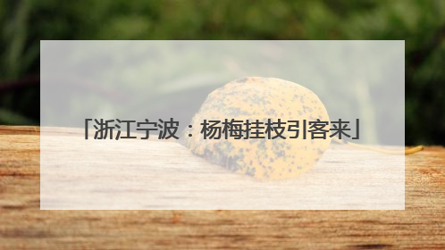 浙江宁波：杨梅挂枝引客来