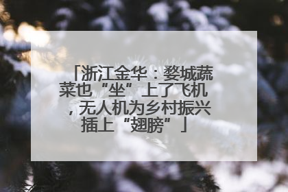 浙江金华：婺城蔬菜也“坐”上了飞机，无人机为乡村振兴插上“翅膀”