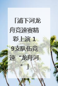 浦下河龙舟竞速赛精彩上演 19支队伍竞速“龙舟河”