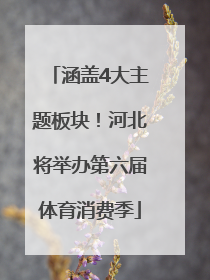 涵盖4大主题板块！河北将举办第六届体育消费季