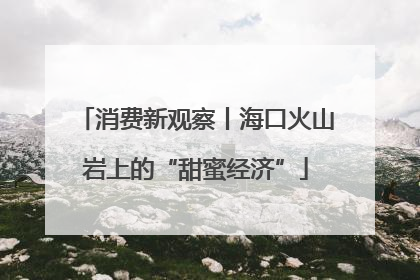消费新观察丨海口火山岩上的“甜蜜经济”
