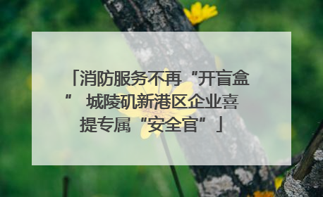 消防服务不再“开盲盒” 城陵矶新港区企业喜提专属“安全官”