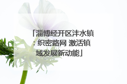 淄博经开区沣水镇：织密路网 激活镇域发展新动能