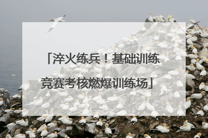 淬火练兵！基础训练竞赛考核燃爆训练场