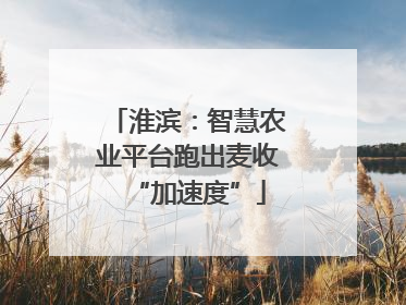 淮滨：智慧农业平台跑出麦收“加速度”