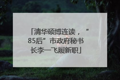 清华硕博连读，“85后”市政府秘书长李一飞履新职