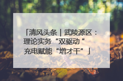清风头条｜武陵源区：理论实务“双驱动 ” 充电赋能“增才干”