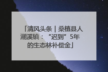 清风头条｜桑植县人潮溪镇：“迟到”5年的生态林补偿金