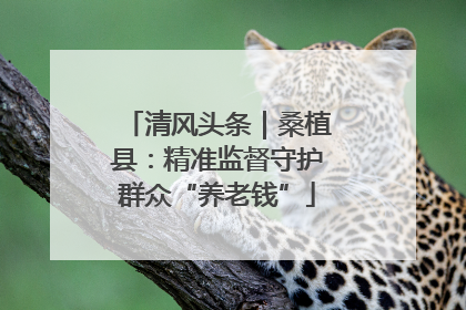 清风头条｜桑植县：精准监督守护群众“养老钱”