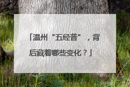 温州“五经普”，背后藏着哪些变化？
