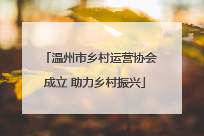 温州市乡村运营协会成立 助力乡村振兴