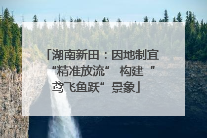 湖南新田：因地制宜“精准放流” 构建“鸢飞鱼跃”景象
