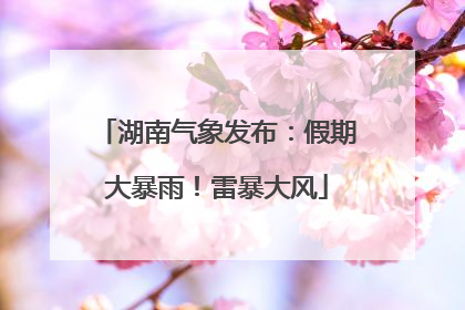 湖南气象发布：假期大暴雨！雷暴大风