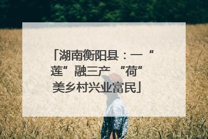 湖南衡阳县：一“莲”融三产 “荷”美乡村兴业富民