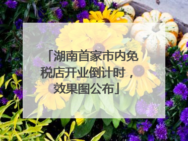 湖南首家市内免税店开业倒计时，效果图公布