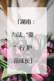 湖南：与法“童”行 护苗成长