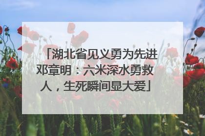 湖北省见义勇为先进邓章明：六米深水勇救人，生死瞬间显大爱