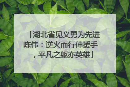 湖北省见义勇为先进陈伟：逆火而行伸援手，平凡之躯亦英雄