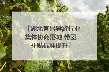 湖北宜昌导游行业集体协商落地 带团补贴标准提升