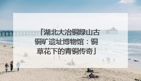 湖北大冶铜绿山古铜矿遗址博物馆：铜草花下的青铜传奇