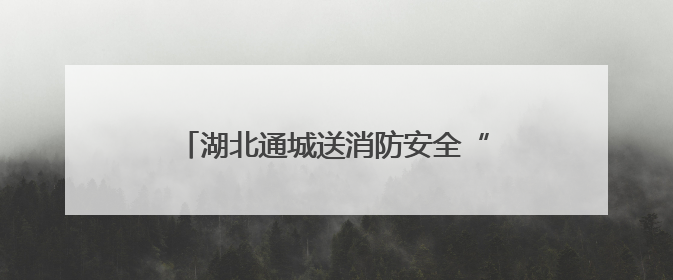 湖北通城送消防安全“处方”到乡镇医疗机构