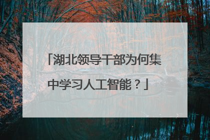 湖北领导干部为何集中学习人工智能？