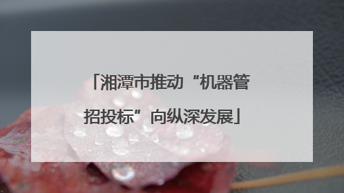 湘潭市推动“机器管招投标”向纵深发展